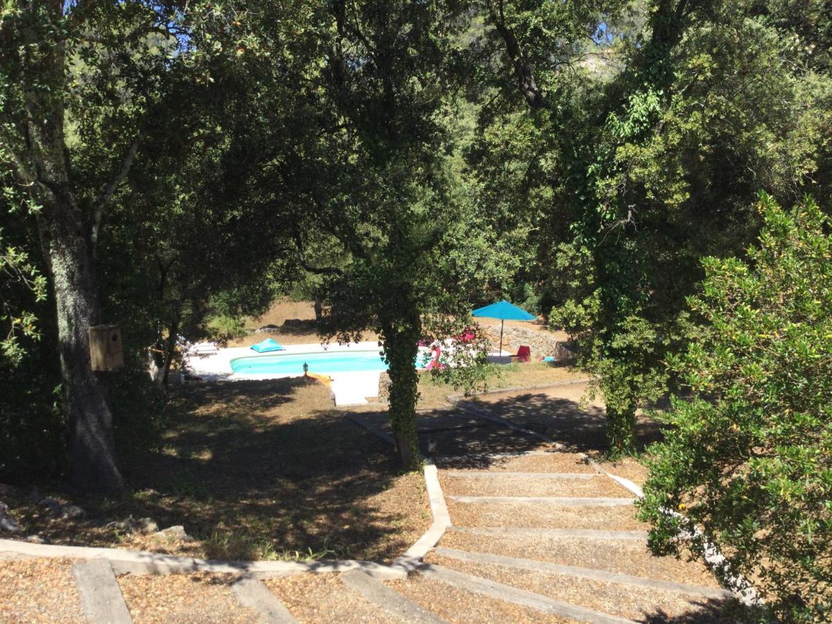 Villa Bleucassis Taradeau Exteriér fotografie